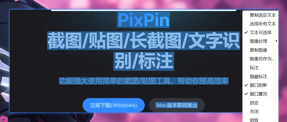 PixPin截图录屏全能工具办公教学设计必备神器，官方正版授权、全版本安全下载教程 - PixPin 截图技巧